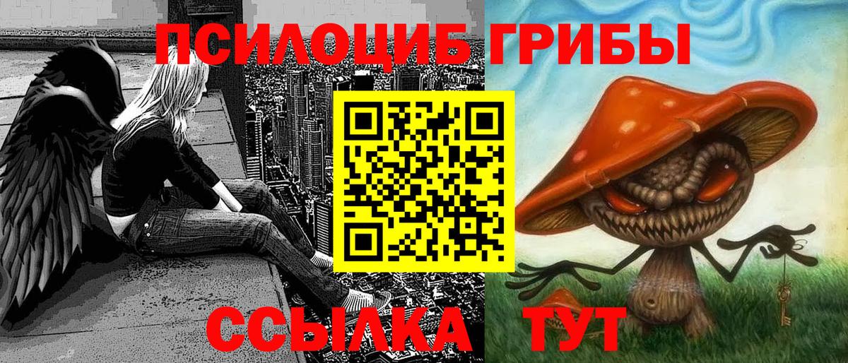Галлюциногенные грибы прущие грибы  купить   Сосновоборск  Вход с VPN  Галлюциногенные грибы MAGIC MUSHROOMS 
